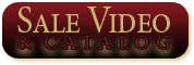 video button